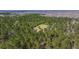 Aerial view showcasing a serene clearing amidst lush woodlands, perfect for a secluded retreat or development at 732 Lindhaven Dr, Pineville, SC 29468