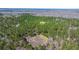 Overhead view of serene landscape featuring wooded areas interspersed with open land, ideal for diverse development plans at 732 Lindhaven Dr, Pineville, SC 29468