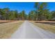 Long driveway leading through a picturesque landscape of trees, connecting to nature at 732 Lindhaven Dr, Pineville, SC 29468
