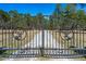 Elaborate iron gate with deer head emblems leads to a gravel drive, creating a grand sense of arrival at 732 Lindhaven Dr, Pineville, SC 29468