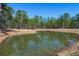 Scenic pond surrounded by lush trees, offering a tranquil and picturesque natural view at 732 Lindhaven Dr, Pineville, SC 29468