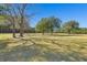 Open, tree-filled yard provides a picturesque scene, bathed in sunlight with shadows stretching across the ground at 732 Lindhaven Dr, Pineville, SC 29468