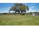 Lush putting green on the golf course with the putting flags, and an enormous live oak tree at 747 Spinnaker Beachhouse, Seabrook Island, SC 29455