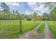 A long driveway leads to a house surrounded by grass and trees on a clear day at 8072 Bing Hill Road Rd, Adams Run, SC 29426