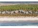 Aerial perspective of the beachside homes surrounded by mature trees and the tranquil beach at 1109 Diodia Ct, Kiawah Island, SC 29455