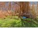 Lush backyard featuring mature trees, green grass and shelter at 1117 Walleye Rd, Bonneau, SC 29431