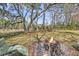 This private backyard features a fire pit, lush greenery and mature trees at 1522 N Pinebark Ln, Charleston, SC 29407