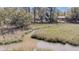 Marshy backyard with trees, winding creek, and a peek at the charming home at 1522 N Pinebark Ln, Charleston, SC 29407