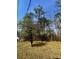 Wooded lot is partially cleared to give a spacious yard at 161 Palm St, Walterboro, SC 29488