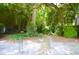 Secluded backyard path lined with mature trees and lush greenery at 219 Rigby St, Reevesville, SC 29471