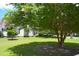 Well-kept front yard with a verdant lawn, flowering trees, and a glimpse of a classic white home at 219 Rigby St, Reevesville, SC 29471