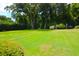 Lush green lawn with mature trees and shrubs creating a private and serene backyard setting at 219 Rigby St, Reevesville, SC 29471