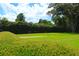 Well-maintained lawn bordered by a manicured hedge and mature trees providing a serene and private outdoor space at 219 Rigby St, Reevesville, SC 29471