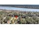 Aerial view of a coastal home with surrounding lush greenery, near a scenic waterway with docks at 2224 Shoreline Dr, Johns Island, SC 29455