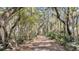 Scenic path lined with trees and vegetation, creating a tranquil and inviting walkway at 2224 Shoreline Dr, Johns Island, SC 29455