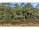 Back of house view from marsh, backing to the trees and brush at 2515 Cat Tail Pond Rd, Seabrook Island, SC 29455