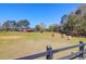 Open fenced pasture with grazing animals surrounded by mature trees, offering serene countryside living at 3034 Bell Cv Aly, Johns Island, SC 29455