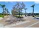 Charming streetscape featuring elegant homes, palm trees, and well-maintained brick roads in a picturesque setting at 3034 Bell Cv Aly, Johns Island, SC 29455
