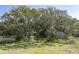 Spacious backyard with mature trees, lush green grass, and a quaint shed, offering a serene outdoor retreat at 410 E Indian Ave, Folly Beach, SC 29439
