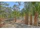 Scenic backyard with a lush array of palm trees, shrubs, and foliage along property line at 824 Forrest Dr, Charleston, SC 29492