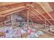 Unfinished attic space showing wood beams and insulation, ready for renovation at 886 Piccadilly Cir, Charleston, SC 29412