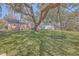 Expansive backyard with mature trees, swing and plenty of shade, perfect for relaxation and outdoor activities at 886 Piccadilly Cir, Charleston, SC 29412