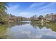 Scenic lake view showing a tranquil body of water surrounded by lush greenery and charming homes at 100 Lakeview Dr, Summerville, SC 29485
