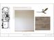 Bedroom design board featuring shiplap walls, wood flooring, and a ceiling fan at 111 Peninsula Dr, Ravenel, SC 29470