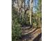 A well-maintained walking trail winding through a lush forest, a nature lover's delight at 1309 Belgian Draft Dr, Mount Pleasant, SC 29466