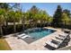 Aerial view of backyard pool featuring lounge chairs, waterfall, and lush landscaping for outdoor enjoyment at 171 Cartright St, Charleston, SC 29492