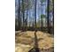 A view of the wooded backyard with a deck partially visible at 212 Regent St, Summerville, SC 29483