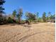 A spacious yard featuring a dog house and playground set at 305 Sandridge Rd, Dorchester, SC 29437