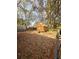 Spacious backyard with storage shed, surrounded by trees and mature landscaping at 306 Perry Rd, Walterboro, SC 29488