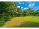Large, well-maintained backyard featuring mature trees and lush green grass at 3596 Walter Drive Dr, Johns Island, SC 29455
