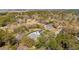 Aerial view of the property showcases landscaping and surrounding neighborhood at 523 Coaxum Rd, Mount Pleasant, SC 29464