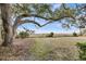 Spacious backyard with mature oak trees and a view of the water, providing a serene outdoor space at 702 E Erie Ave, Folly Beach, SC 29439