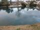 Scenic view of the large neighborhood pond, framed by lush trees and the reflections of nearby buildings at 7851 Sandida Ct, North Charleston, SC 29418