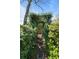 Walking path to pergola covered in green plants at 1039 Grand Concourse St, Charleston, SC 29412