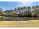 Backyard view of a serene pond and lush greenery, offering a tranquil outdoor space at 1233 Bridgeport Dr, Mount Pleasant, SC 29466