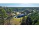 An aerial view of a quaint single-story home nestled amidst lush greenery and tall trees, offering a serene and private setting at 165 Infinity Dr, Dorchester, SC 29437