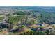 Aerial view of a lush neighborhood with mature trees and well-spaced homes at 165 Infinity Dr, Dorchester, SC 29437