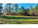 Large backyard, grassy lawn, and surrounding trees at 165 Infinity Dr, Dorchester, SC 29437