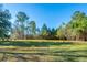 Large backyard, grassy lawn, and surrounding trees at 165 Infinity Dr, Dorchester, SC 29437