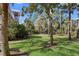 Expansive backyard with mature trees and lush greenery creating a peaceful, private setting at 2440 Cat Tail Pond Rd, Seabrook Island, SC 29455