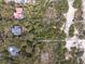 Overhead view showcases the property's layout, private beach access, and surrounding lush landscape at 263 Pelican Flight Dr, 15.4% Share, Dewees Island, SC 29451