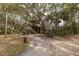 Stunning exterior of a raised home featuring a large deck and natural surroundings at 263 Pelican Flight Dr, 15.4% Share, Dewees Island, SC 29451
