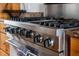 Close-up of a kitchen stove with stainless steel appliances and wood cabinets at 263 Pelican Flight Dr, 15.4% Share, Dewees Island, SC 29451