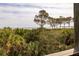 A beautiful view of the ocean and trees with a deck view on the side at 263 Pelican Flight Dr, 15.4% Share, Dewees Island, SC 29451