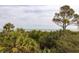 A beautiful view of the ocean and palm trees at 263 Pelican Flight Dr, 15.4% Share, Dewees Island, SC 29451