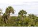 An ocean view lined with palm trees and lush greenery at 263 Pelican Flight Dr, 15.4% Share, Dewees Island, SC 29451